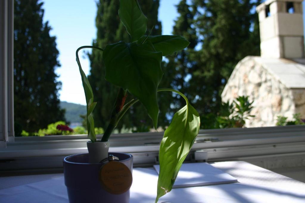 Apartments Dubrovnik Center Δωμάτιο φωτογραφία